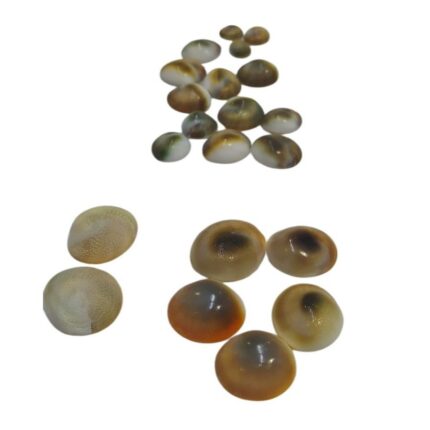 Karışık Set (7 Büyük, 11 Orta) Yılancık Taşı